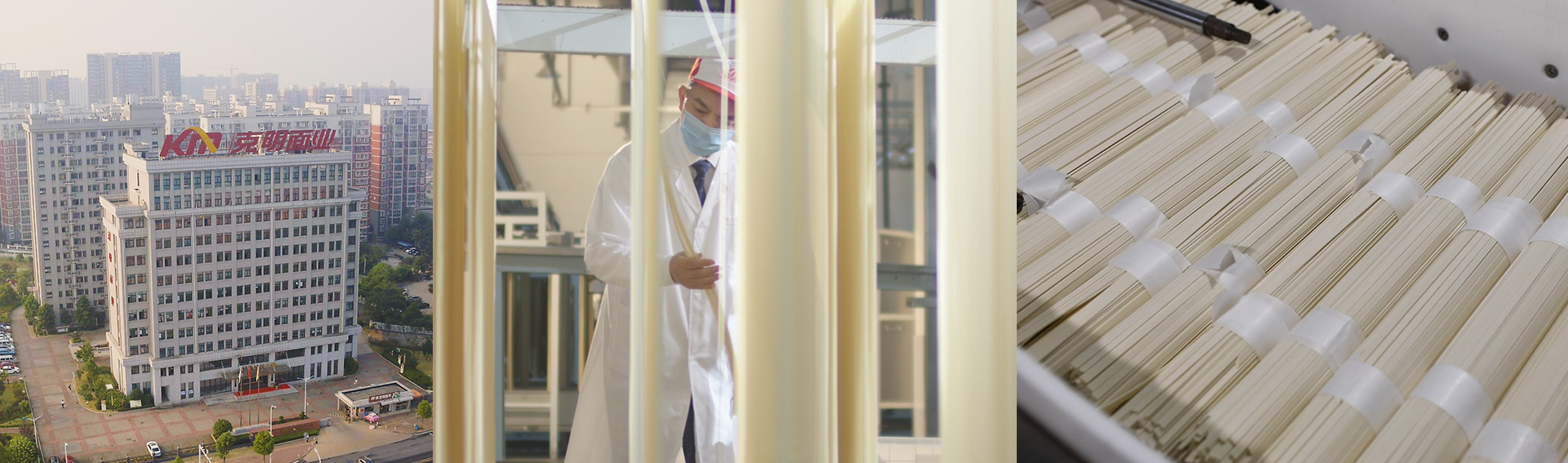 888�ڲ���-����Ϊ��,רҵ����